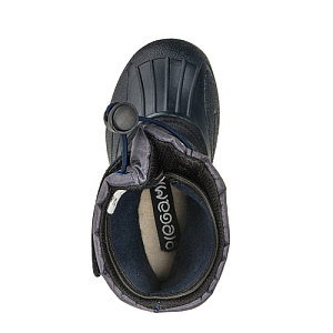 сапоги для мальчиков